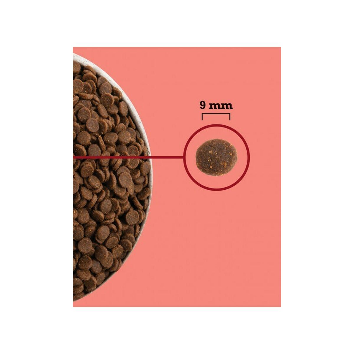 V4H78B6495DB43CB68477B9615F72A93BD0R5851843P2