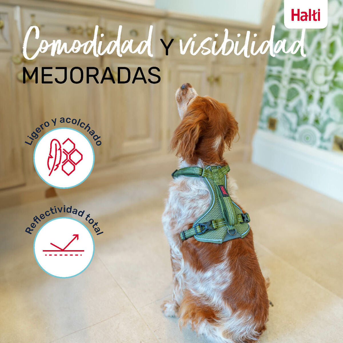 V5HEAB0B152C3FE03EB0059A8A3C2B58E35R5328566P5