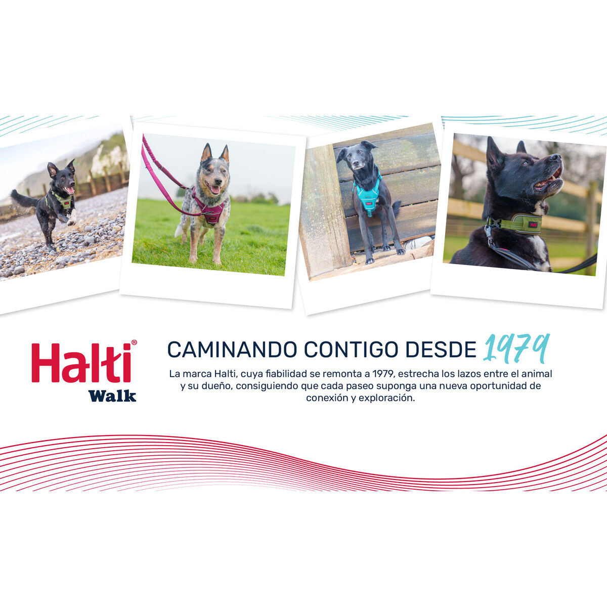 V2HCD2884FBB210B336CB75185B9A036E07R7722819P5