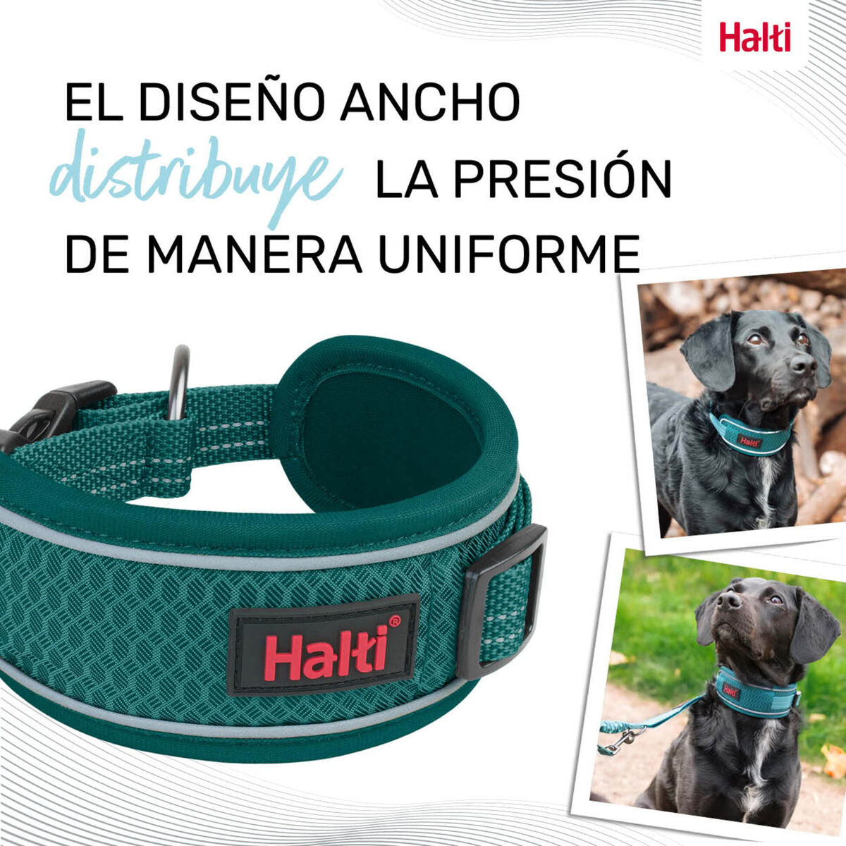 V2HEB919C911A4C018F2B1313F3444C232CR7722835P8