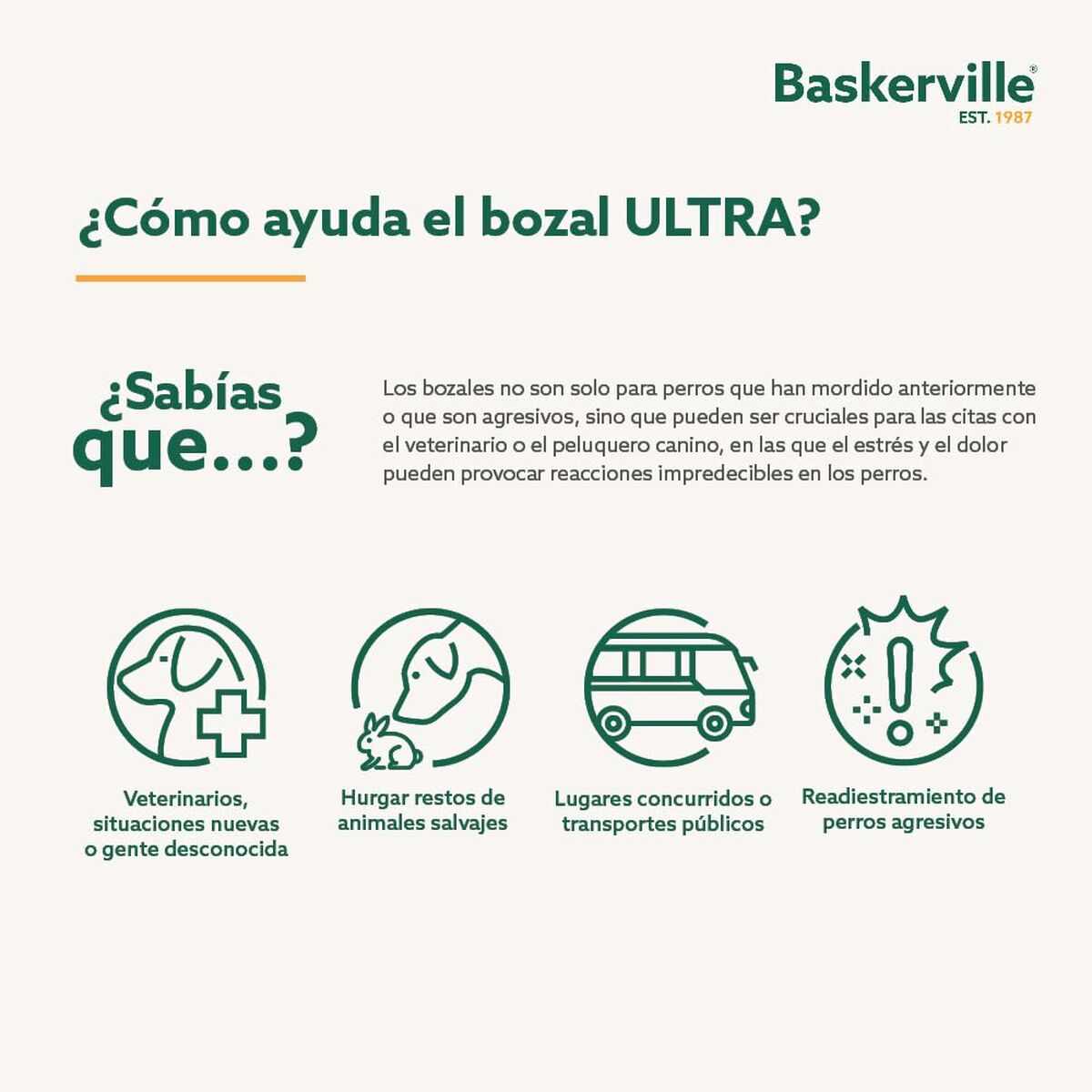 V5H084F78E3A4DA8F293929F8A70D443486R5327513P3