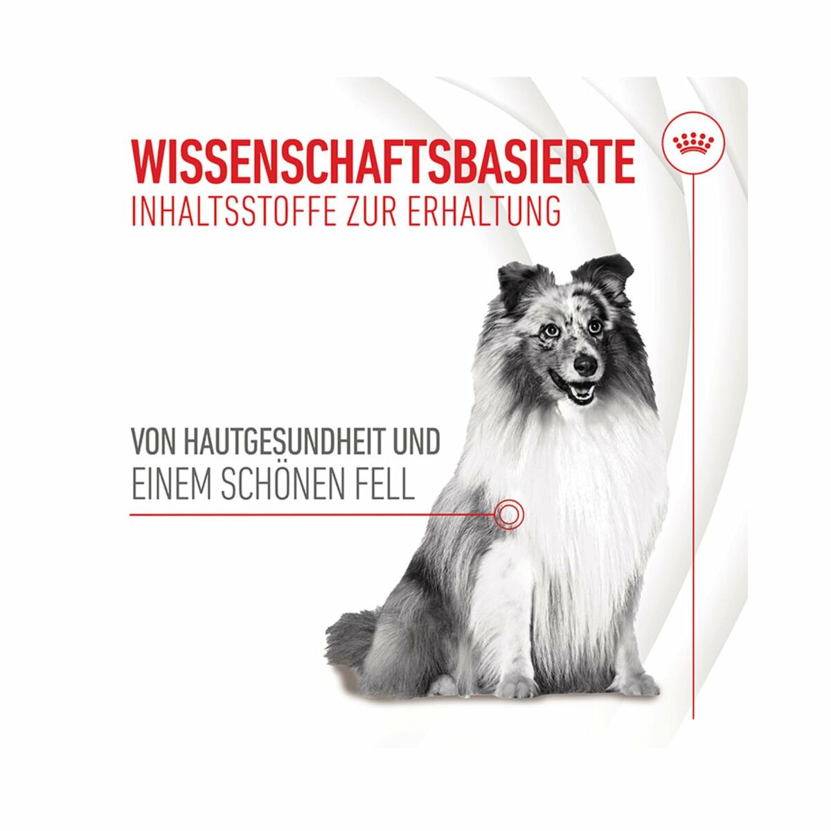 V4H33202975C2B25EB4DDF66A2DFF4892CFR6646633P7