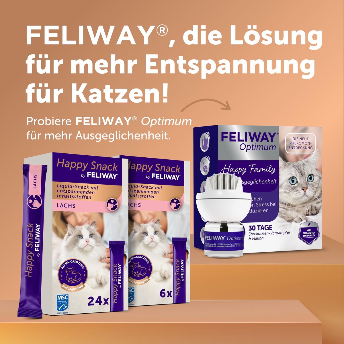 V2H815641D325F00FFCDBAB8FA3267301B6R7725864P8