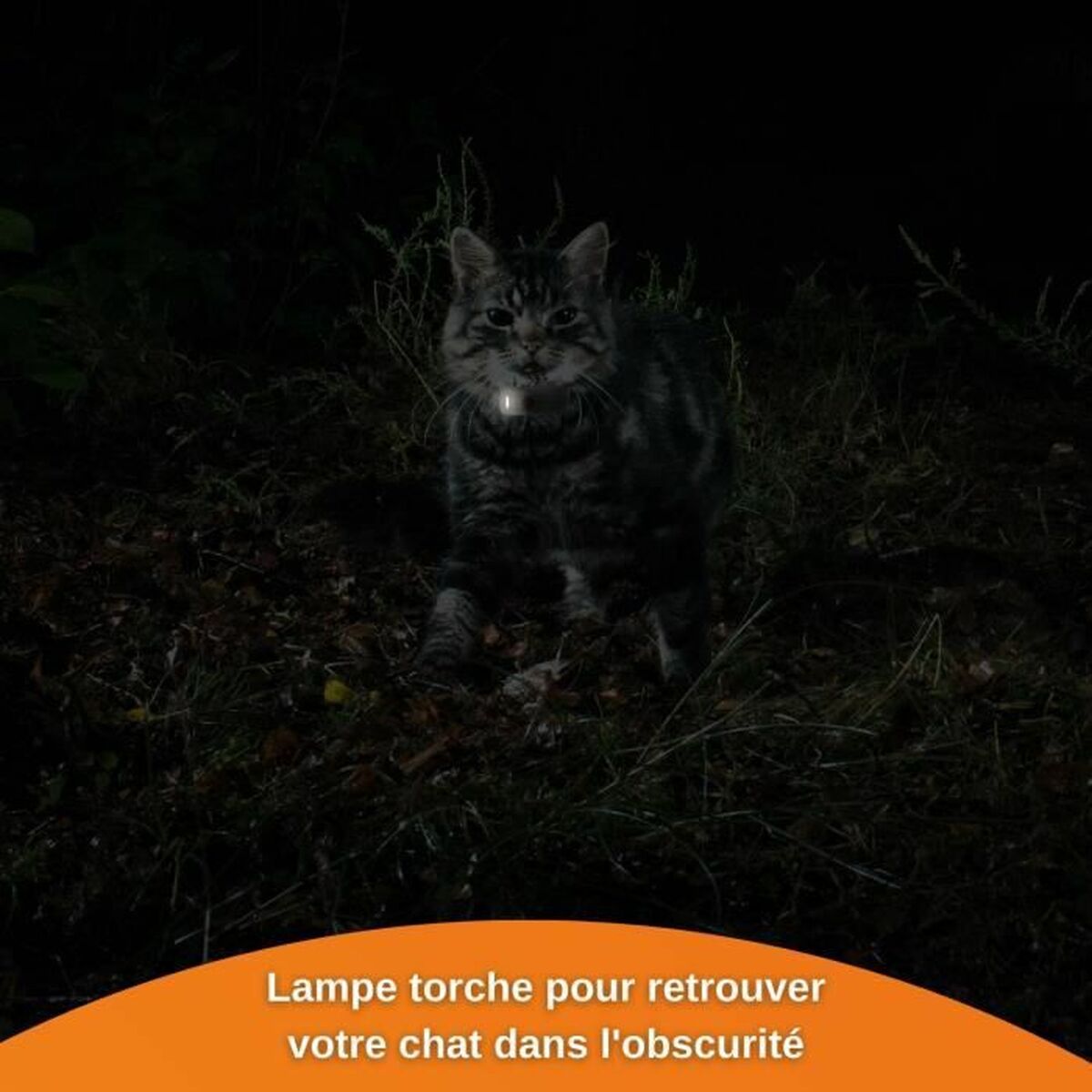 V8HA94C31FE276F8F8C005D91FA38441B7FR7273387P5