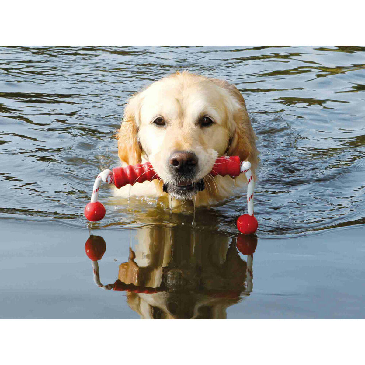 V6HEA8AA654B869B6D5212ADB2057BBBDE8R7443080P5