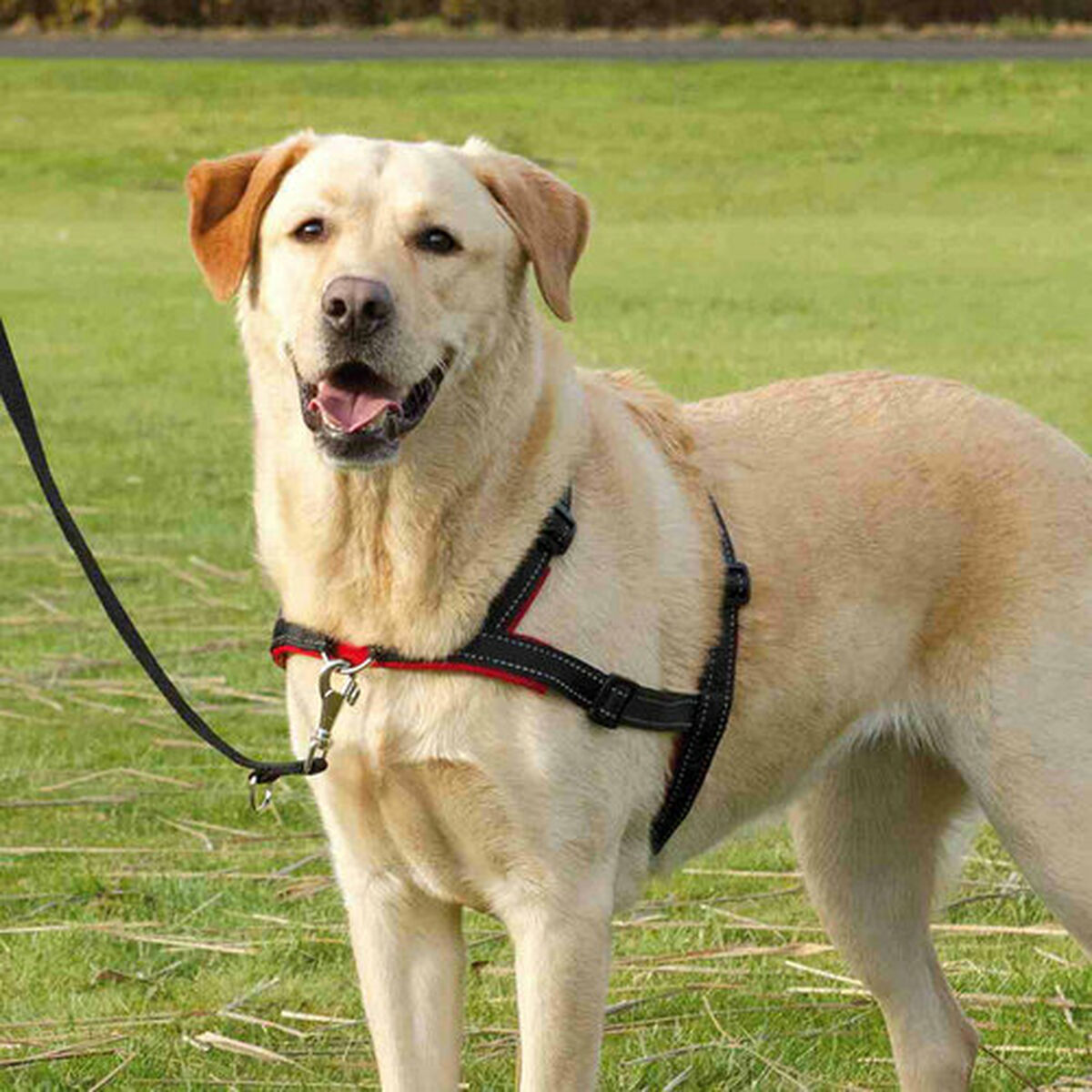 V7H716ABEA5AF4AE14F590340537C4D1615R7441892P8