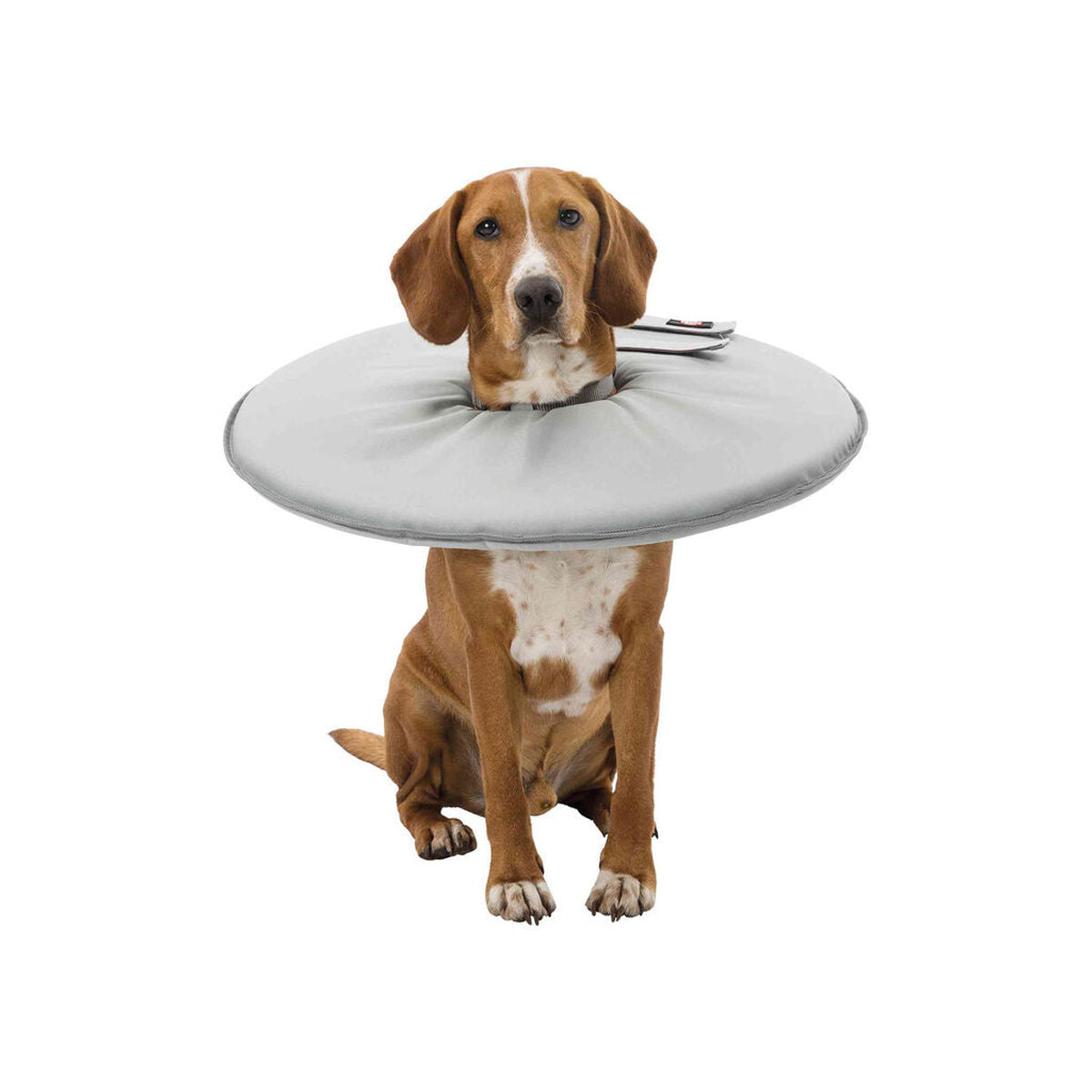 V6H925DE3A496735385FFF9EA1CA4CA5AE5R7440174P9