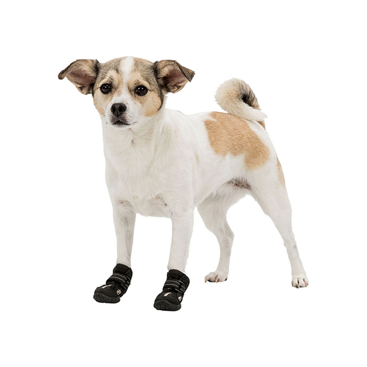 V6HF718C0B65B04EDFCA69EA4D21149F04ER7439805P5