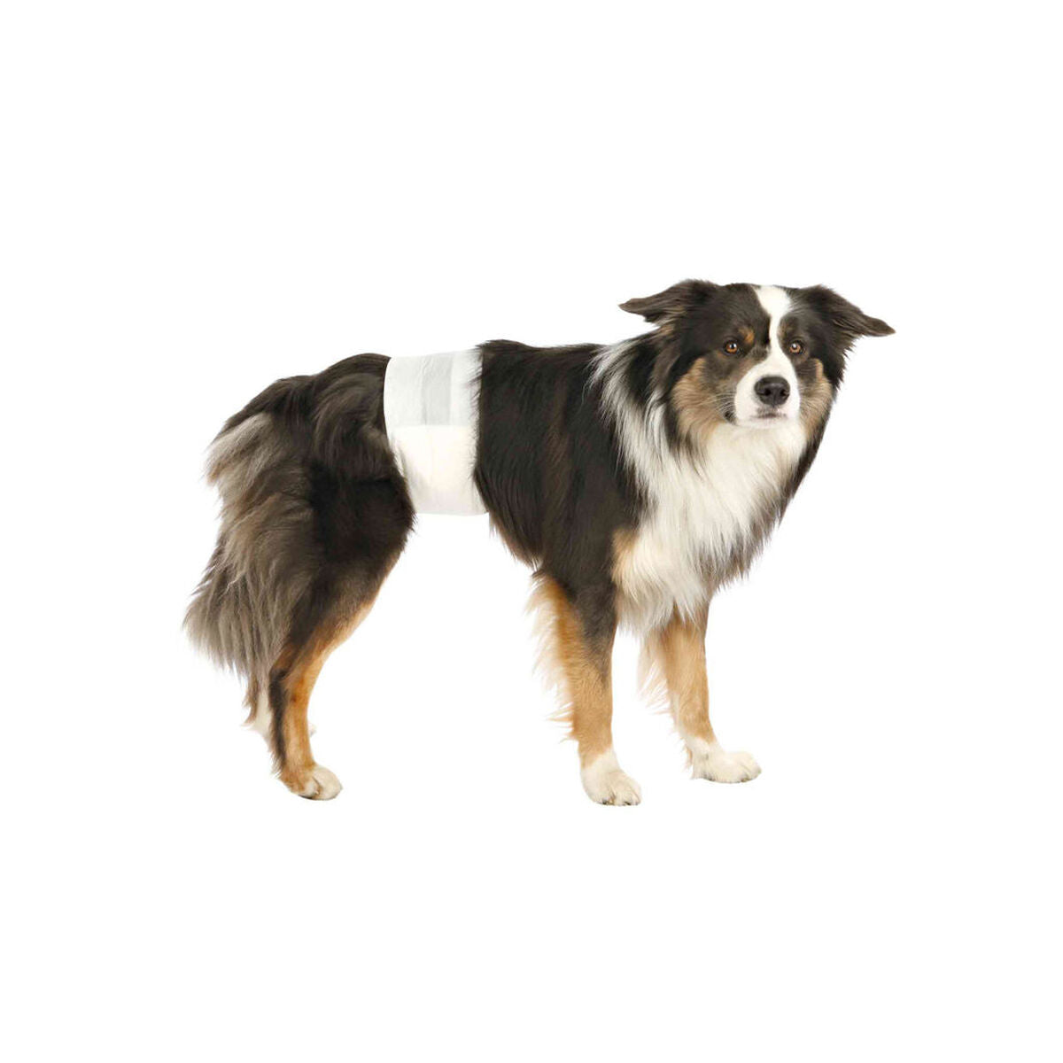 V7H9E627222A9B43D389B12F2E234B31987R7444596P3