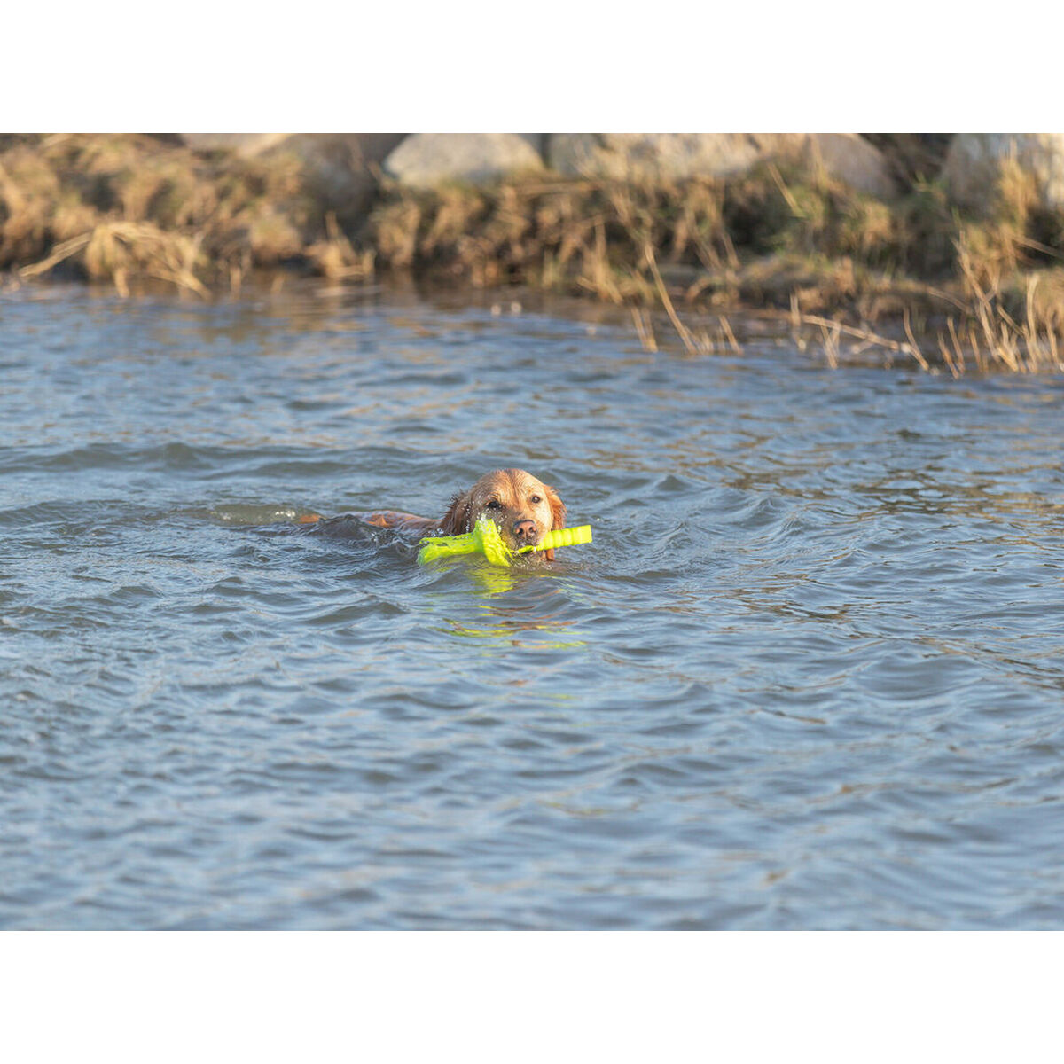 V7HFC1D36019B68C68AA5E751CD12E559D6R7443188P9