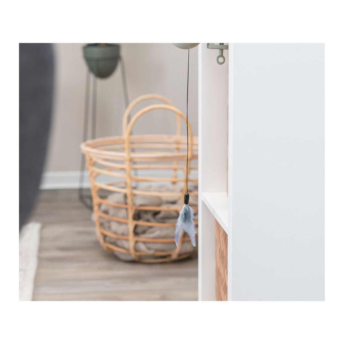 V6HC8ACA1C9CB78B6BC46FB64CC7B86D5D4R7447295P5