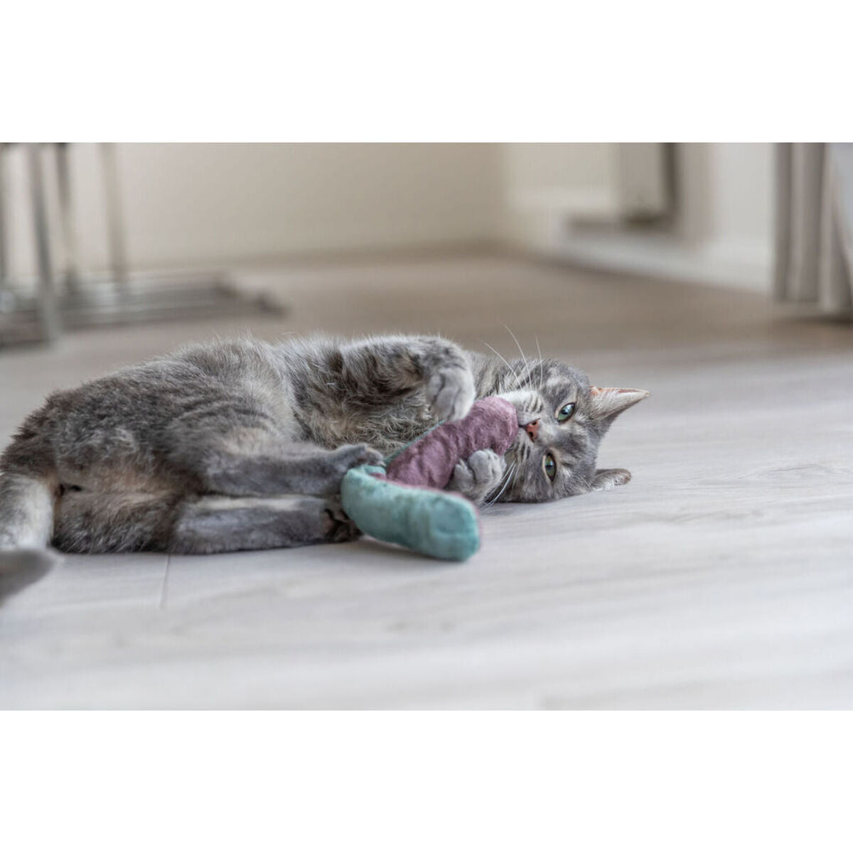 V4H815BB4234F7A4247C97548E05B398676R7462230P5