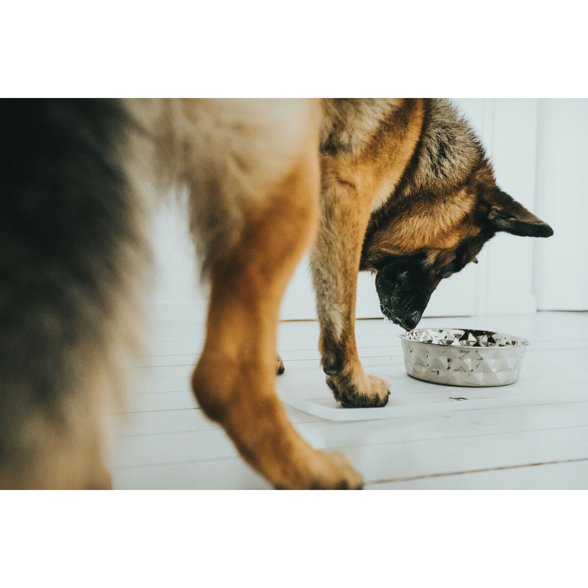 V6H56D6742BEE5E02847423AE18B4C9B827R4438110P4