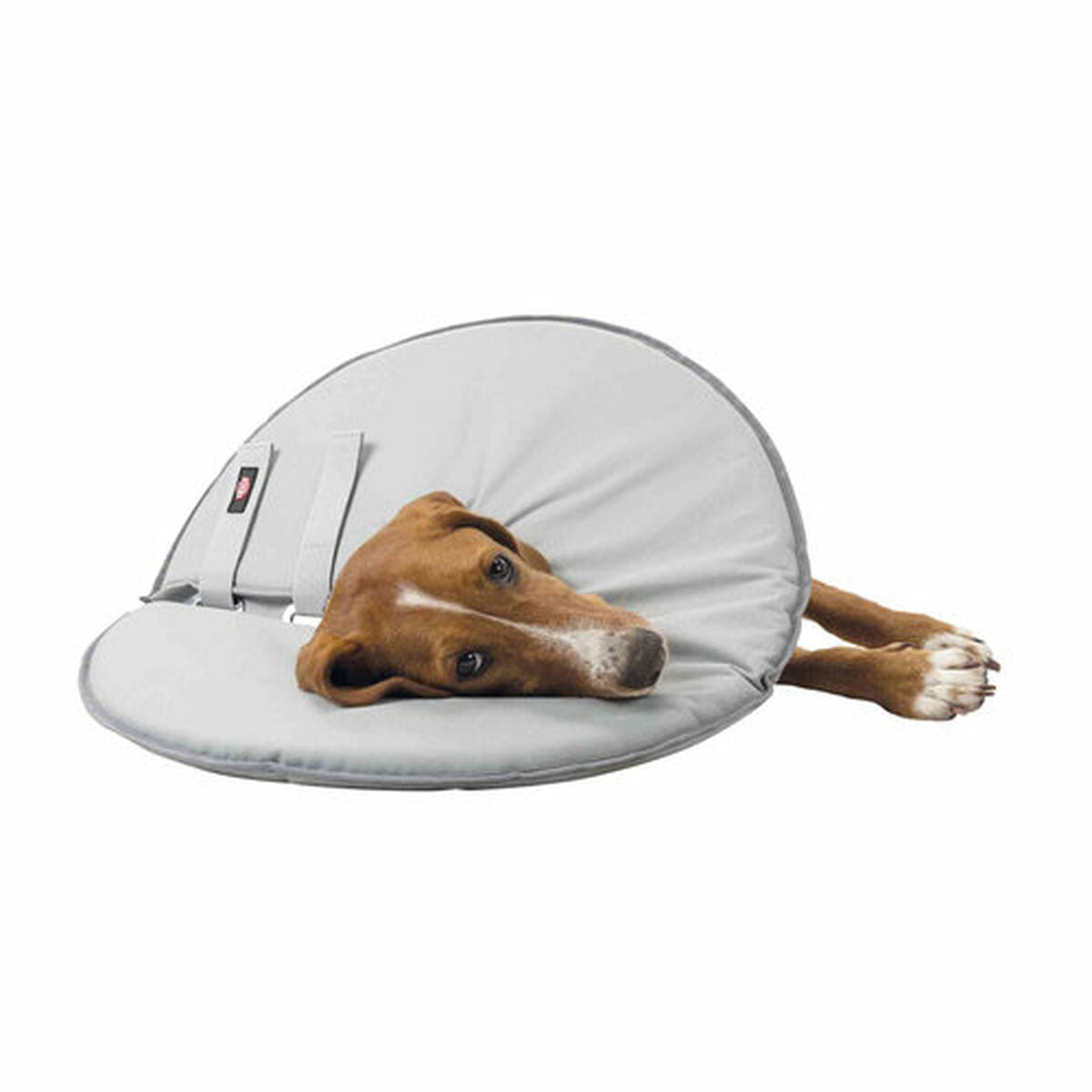 V6H356C990DDA50675C5BE020C307EAD882R7440234P9