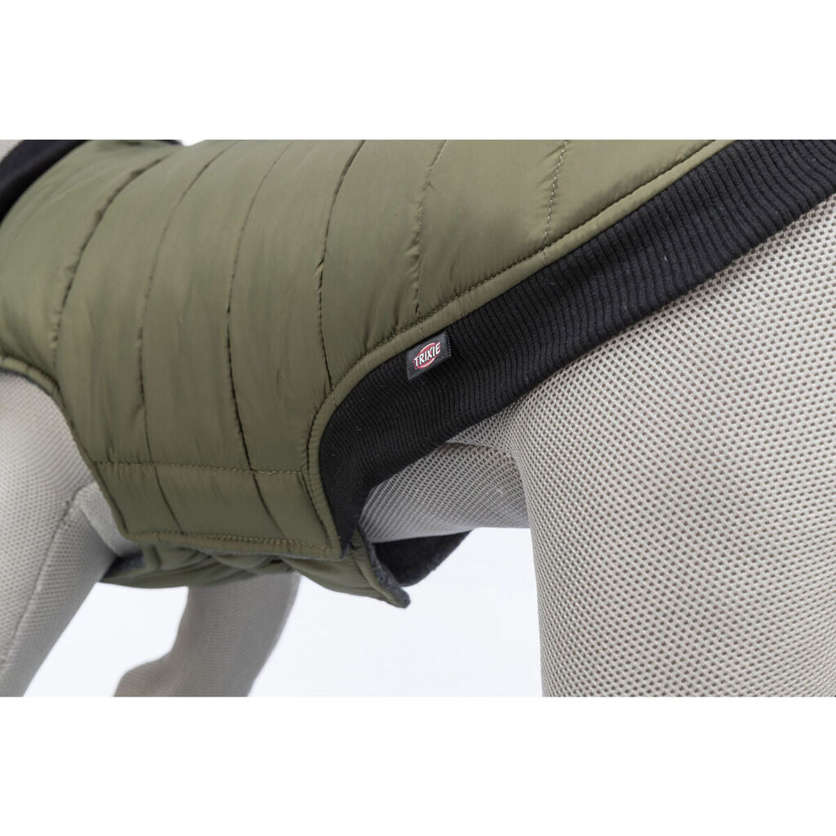 V6H9F1F15062C338A32CC5548C45D91B87DR7455229P7