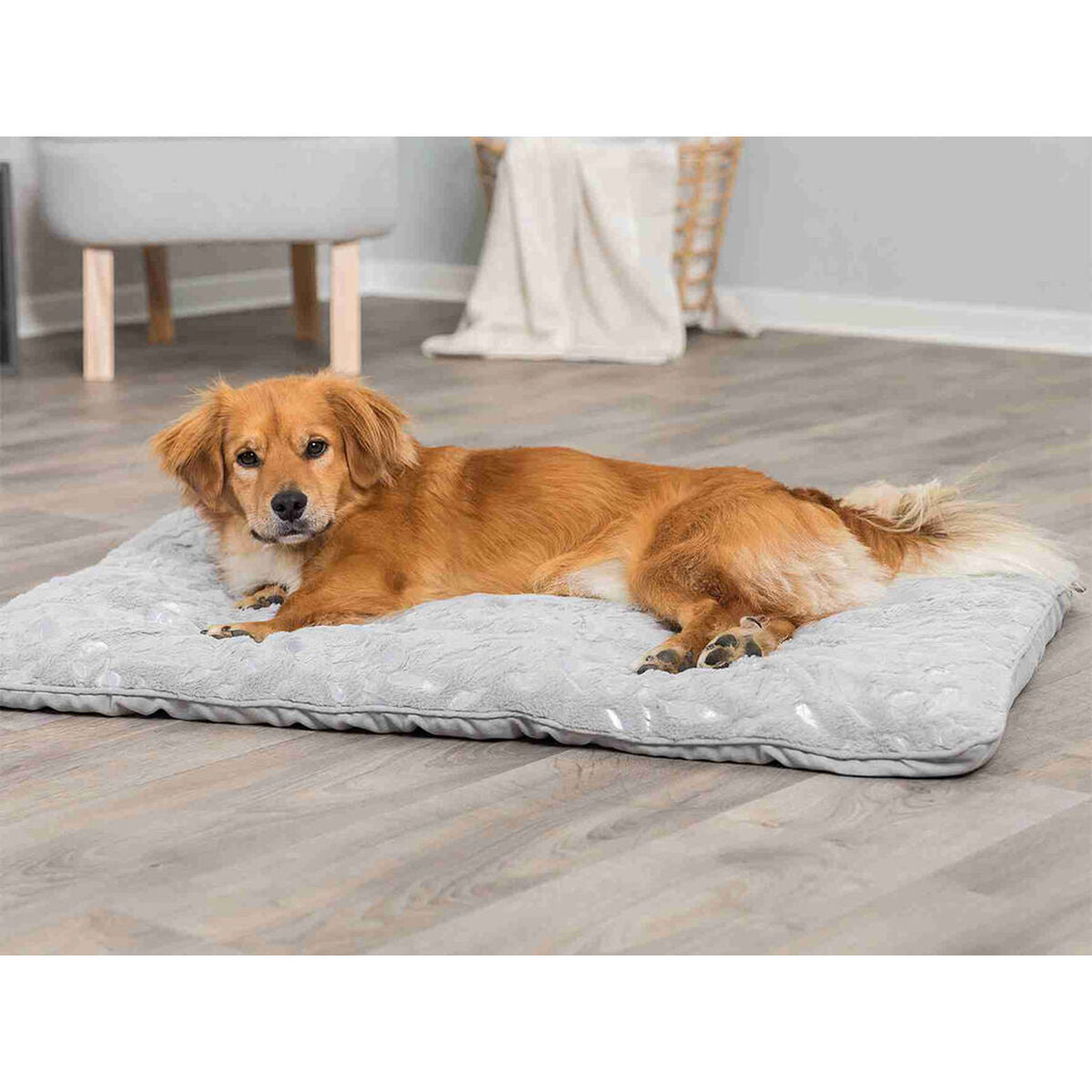 V7H11EAF7985AE2710636003A2B5F2AFDFDR7444787P9