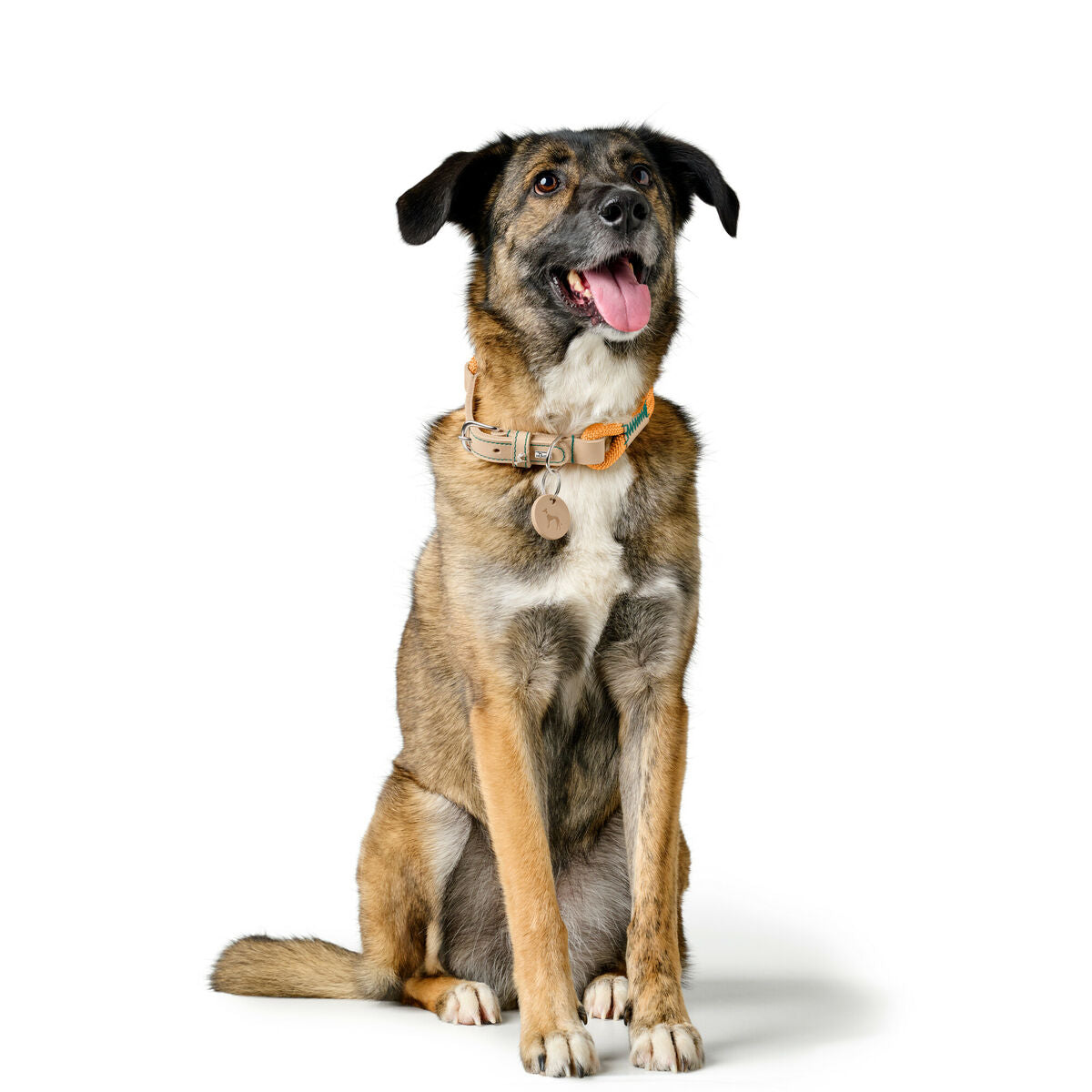 V4HA0738E7F14F181368C6B67514A894858R5575462P3