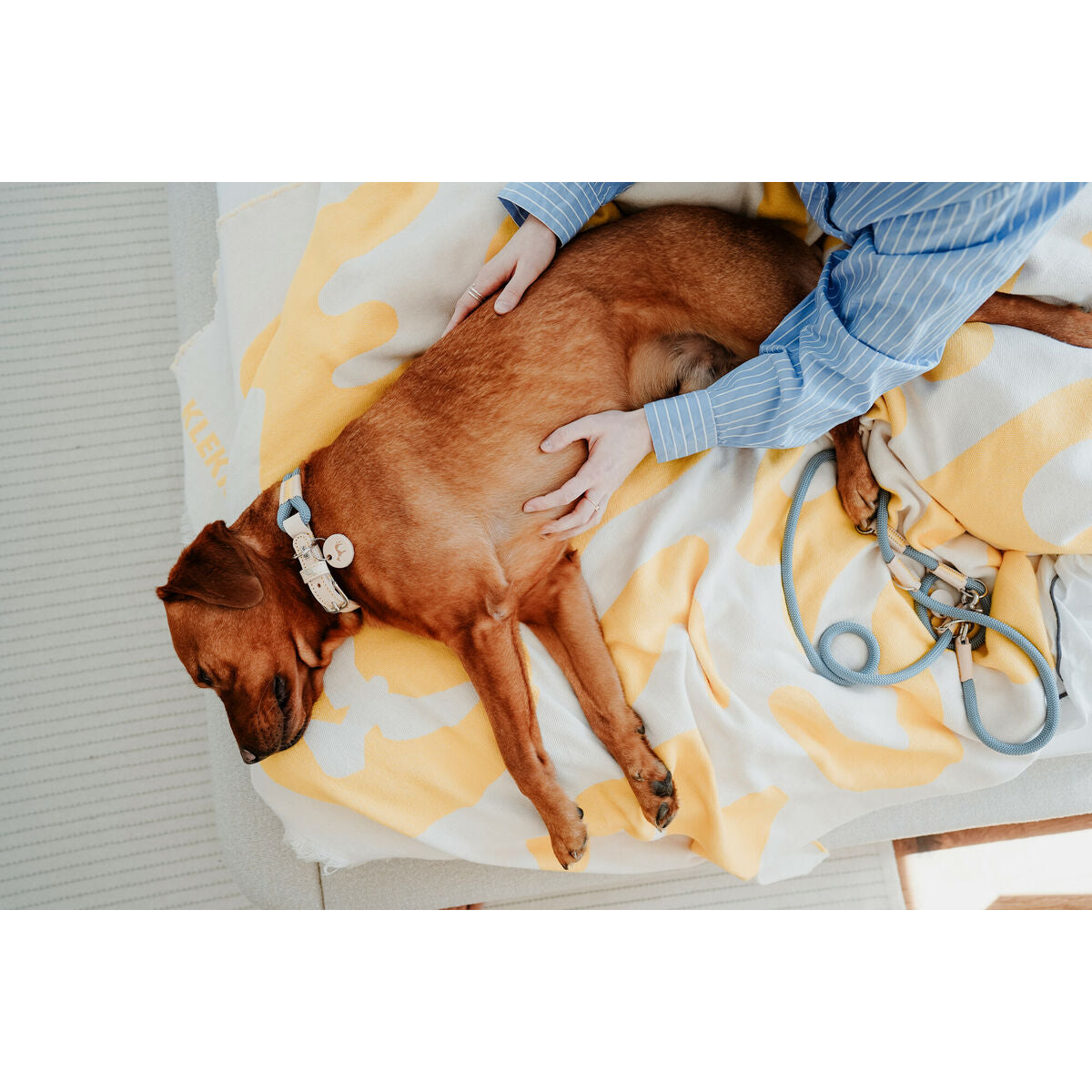 V4HCD140FD2BB2E929FC3A8A2BDE90E078CR5575510P5