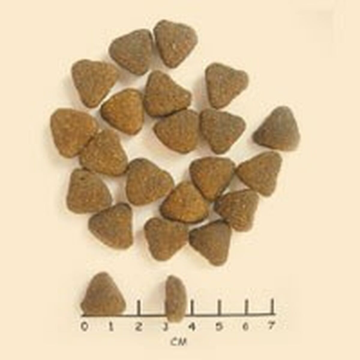 V4H57D50AD62D34411879ECFA0837A1A994R6454195P2