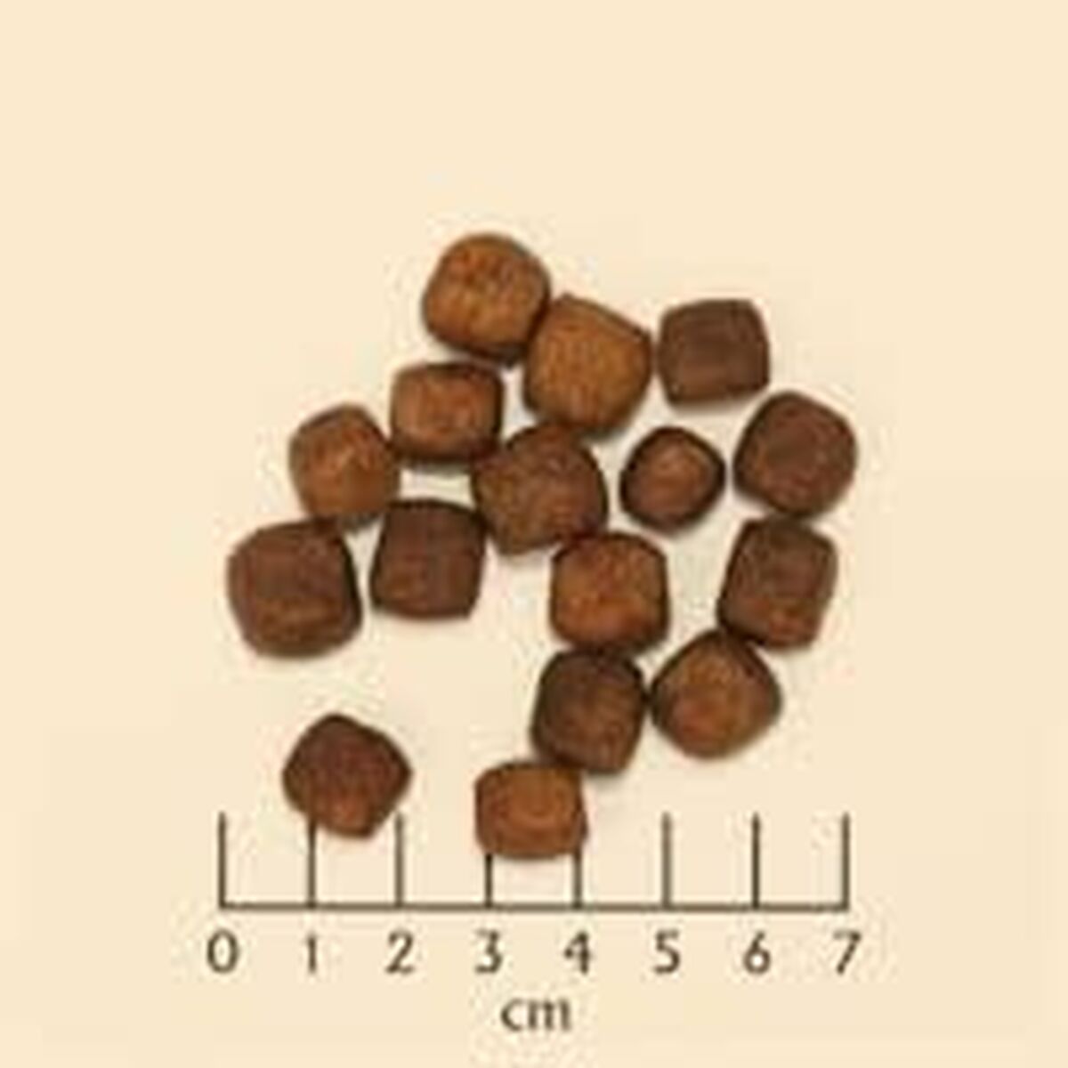 V4H627A27159DBD436C1504AC8A59F83A28R6454393P6