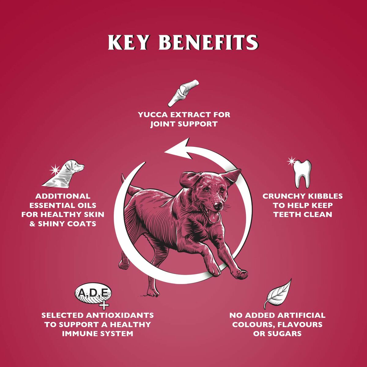 V4HE538C62AB43F611F584ED34481DB2608R6450252P2