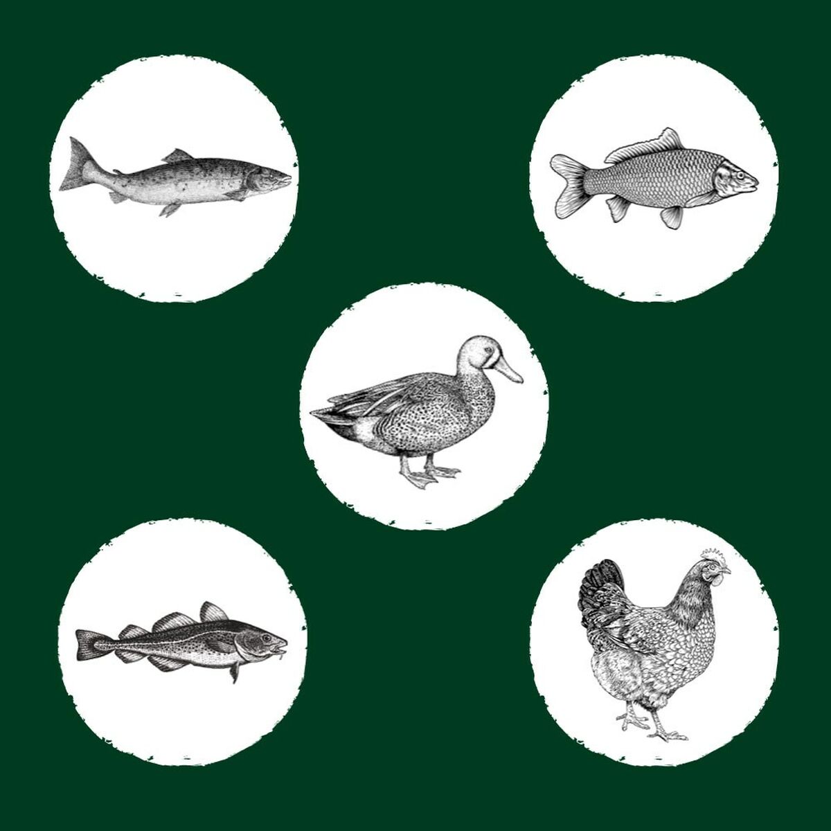 V4HEAFB7B106BF3B8509F35004CA26EE2BDR5624066P6