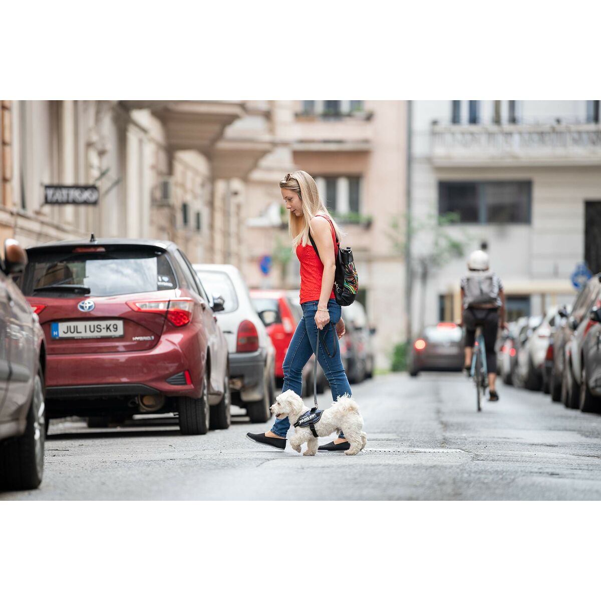 V6HFE8A527B41CF38D1571A13EDE0FF81FER7451136P7