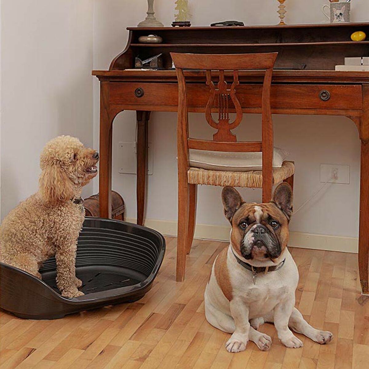 V8H7C7EEC30D3AED769DB1B29FB3EF1B71FR4558507P6