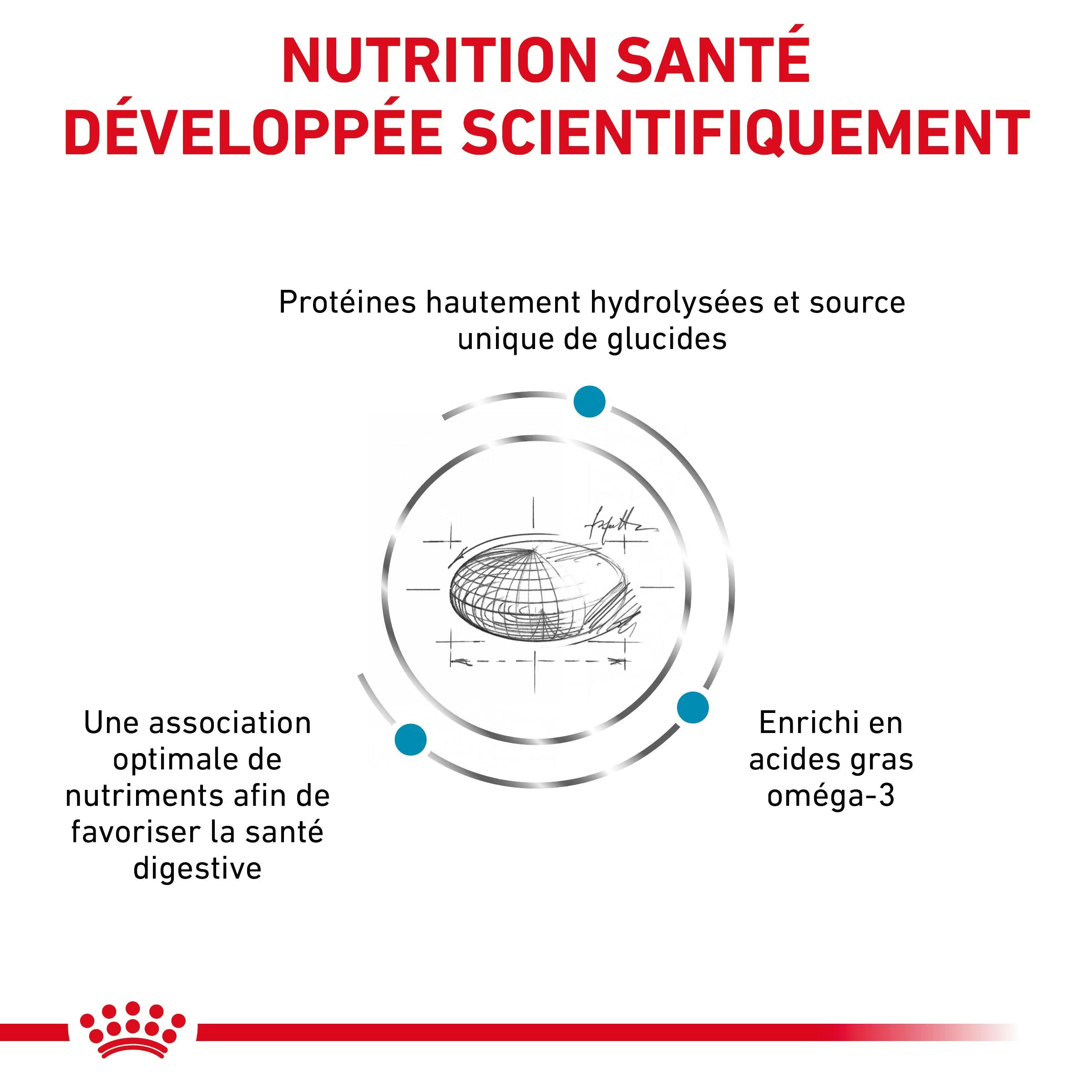 Royal Canin Hypoallergenic Moderate Calorie Canine Dry Dog Food 14kg