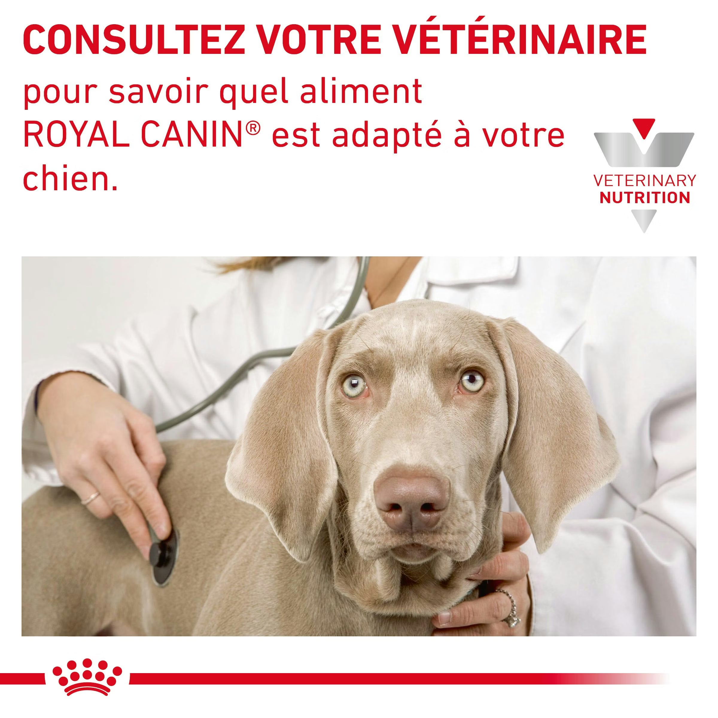 Royal Canin Hypoallergenic Moderate Calorie Canine Dry Dog Food 14kg