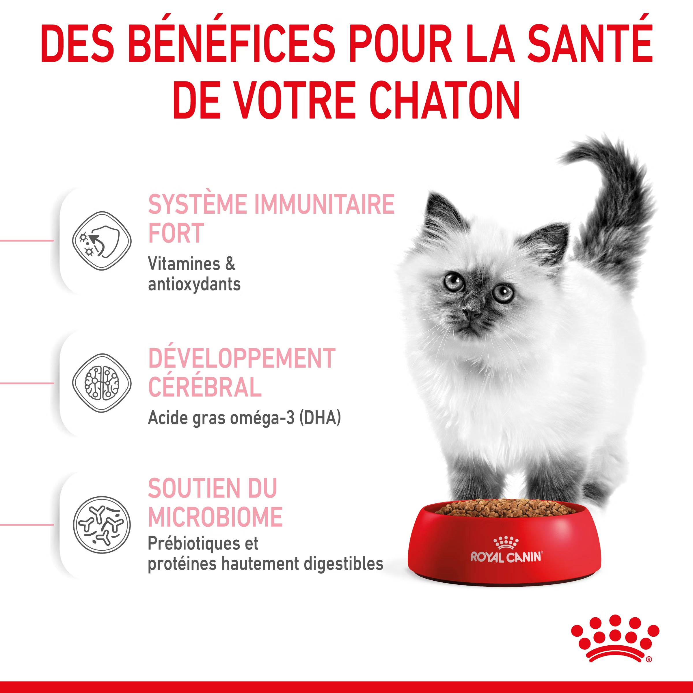 ROYAL CANIN Kitten 4kg