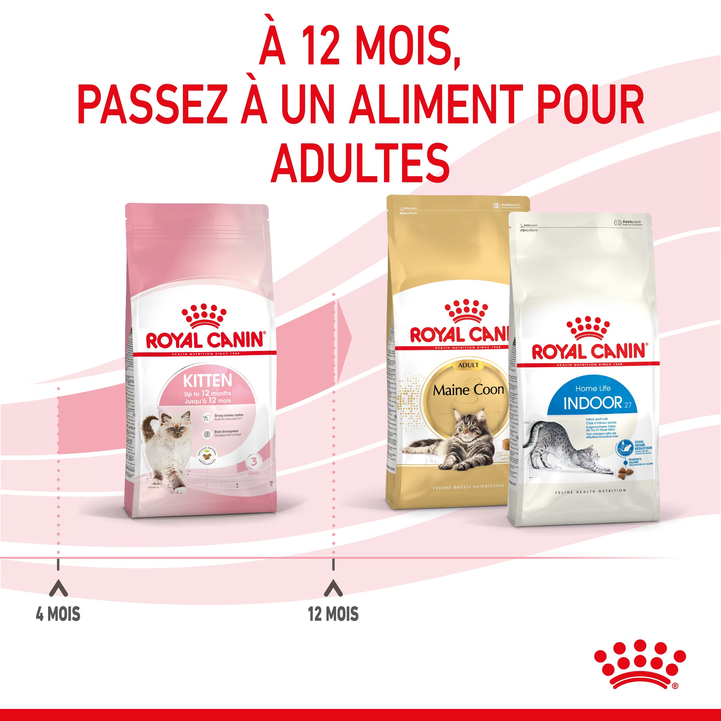 ROYAL CANIN Kitten 2kg