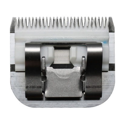 V5H06B97E581E51EF9FD9D4B58C7A265A01R5554766P4