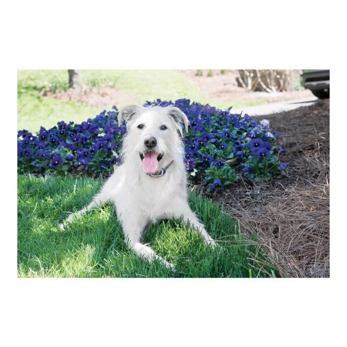 V5H1B3A2E9B8F081DEBB657B306EF0164EBR5763537P3