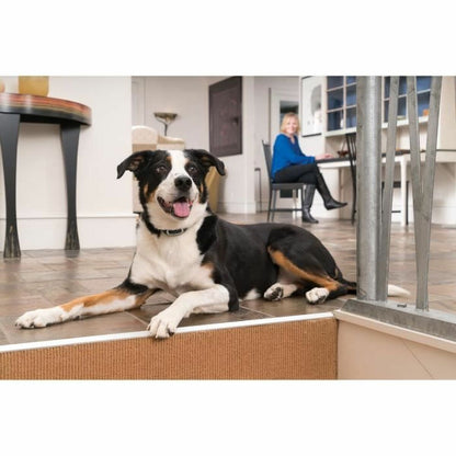 V4H1B45DA600F9855CDDB69F253289D67D2R5763555P2