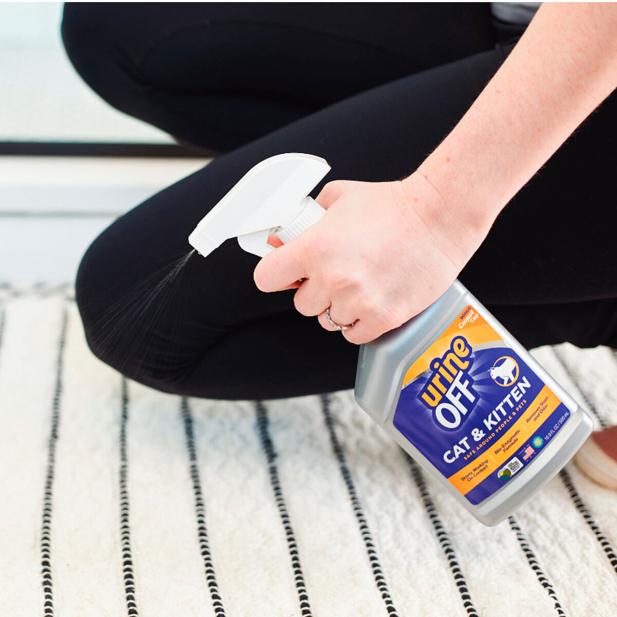 V6H9309D006AACD0AAB2945195B249392E2R4978035P4