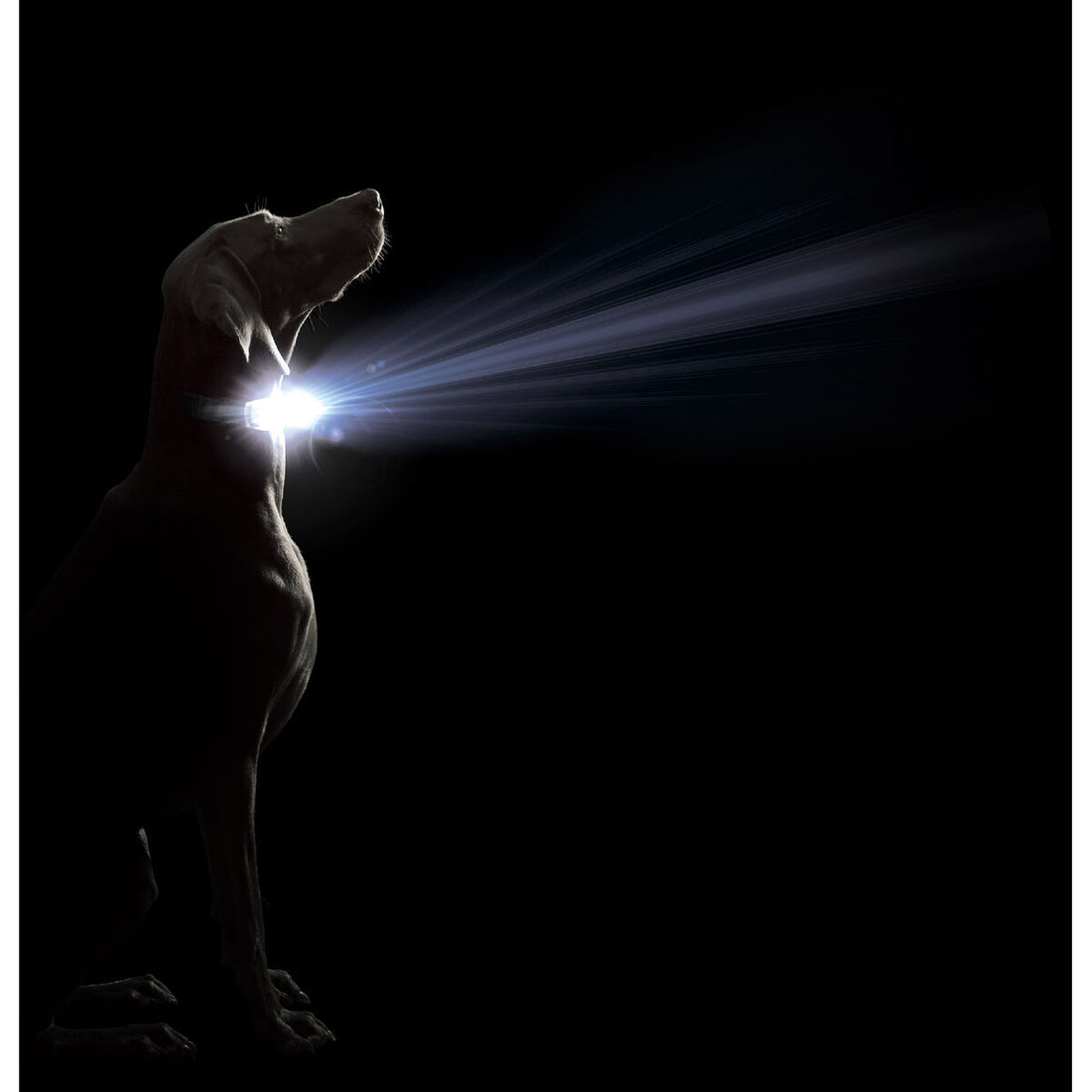 V4H7ECF6009EB371B8337E2C9A12E411D43R5554898P2