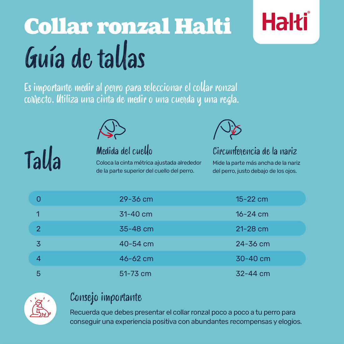 V3H5ED94E18EE8F7830CECBD2C9A982507BR7523890P2