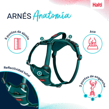 V5H3CFB8E4E95CB2461119A18CD708FE7A7R5328493P3