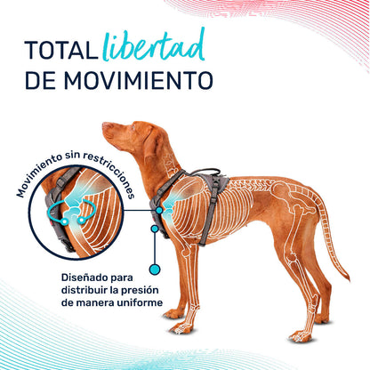 V5HFF59CBC7CEED737499DAE83210C25B93R5328501P6