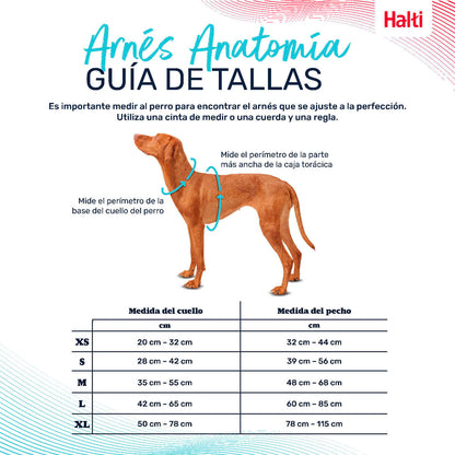 V5HD53EB70D5EA17904D8D90C4F0B1F539DR5328511P4