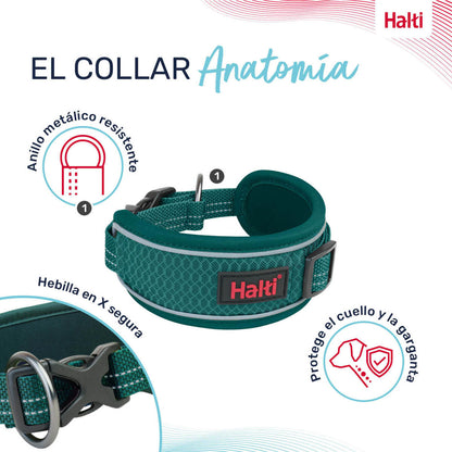 V2HD4E4E24412C99347F13EB41FF9642AF7R7722829P7