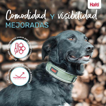 V2HB23B8C9A4AC01B1E221EE9C966AC0C57R7722749P9