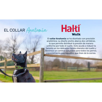 V2H85344283B6DA4F1138EDC38715620A84R7722717P3