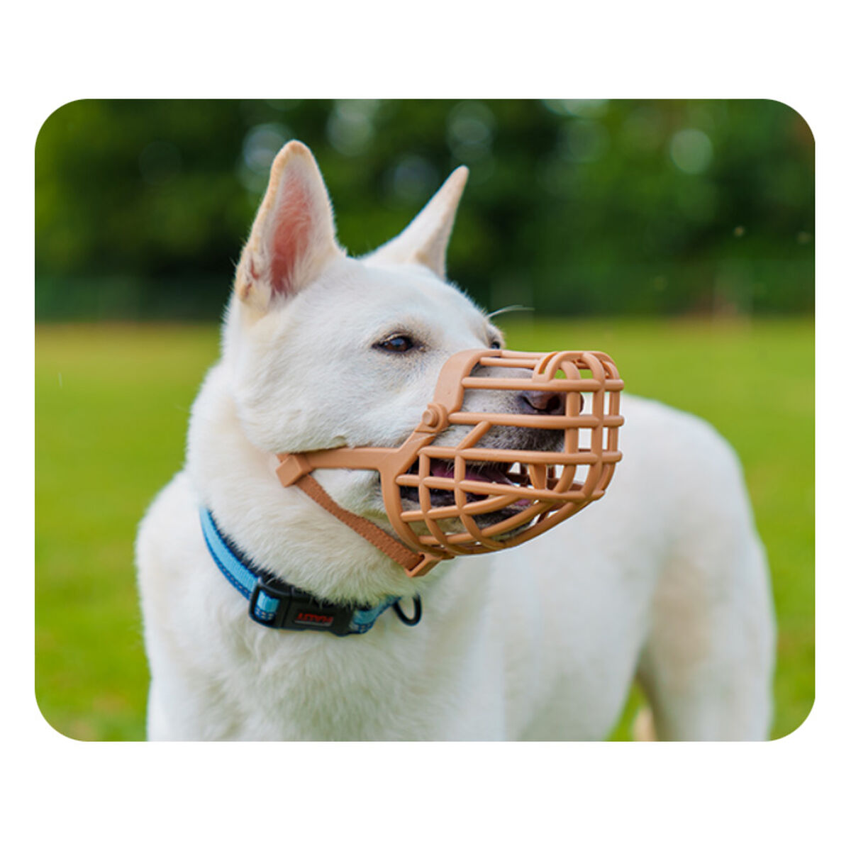 V6H34C1E1998958373A2181D283D4EE3CF3R5327586P3