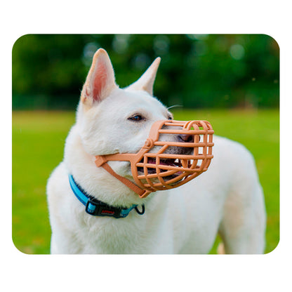 V5H0B97ABD29CAF12FE33D6E22C50F59A2CR5327514P3