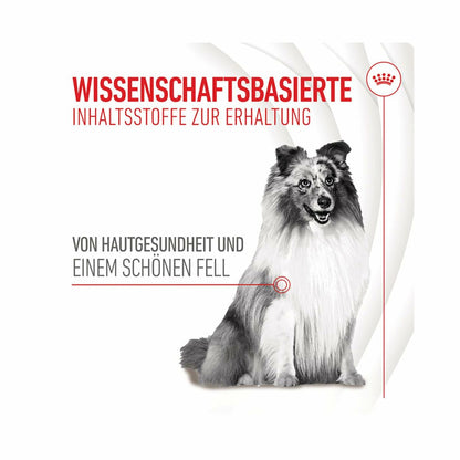 V4H33202975C2B25EB4DDF66A2DFF4892CFR6646633P7