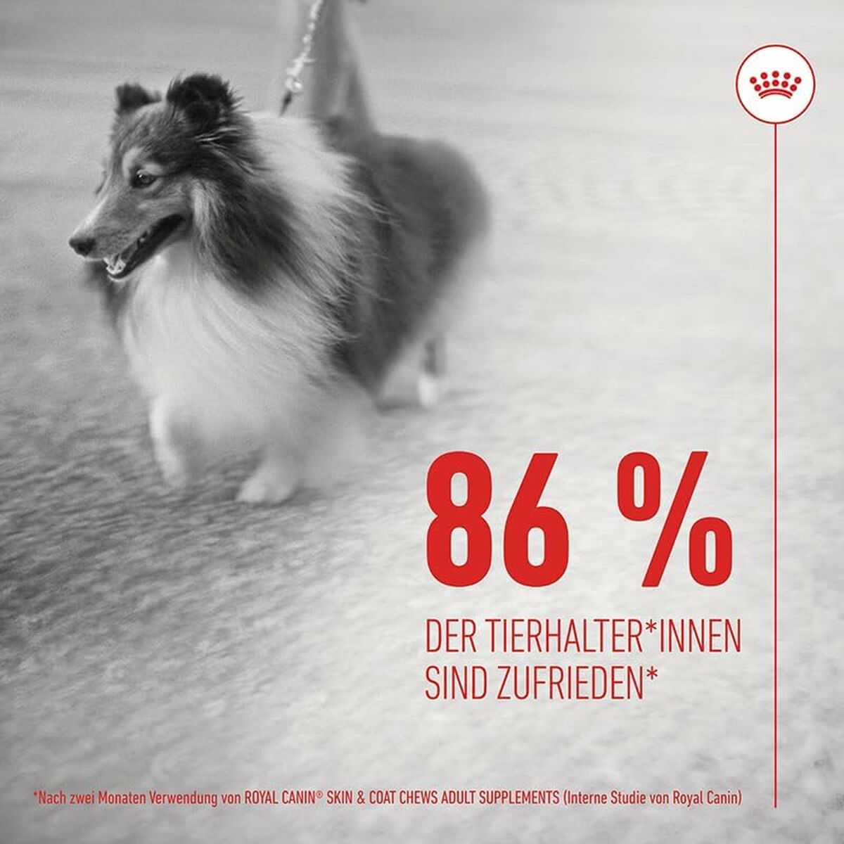 V4H59186CD82F3221A2A499456E2E496A0FR6646637P8