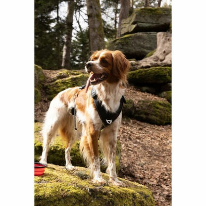 V6HE6D4EB4CFDE231B7B26C46AFF29045E1R5293575P6