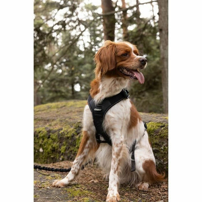 V5HBA93ED778B6190D5A1B4DD6065A2AE09R5293644P3